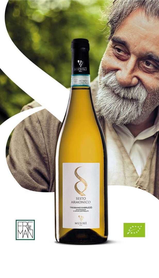 Musikè Sesto Armonico Trebbiano d'Abruzzo DOC 0,75L - Image 6