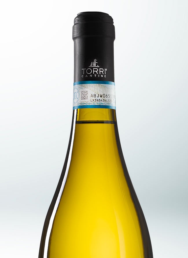 Torri 420 Pecorino DOC Abruzzo 2021 0,75L - Image 4