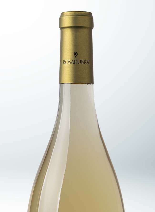 Rosarubra Vigne Lomanegra Chardonnay IGT Colline Pescaresi 0,75L - Image 4
